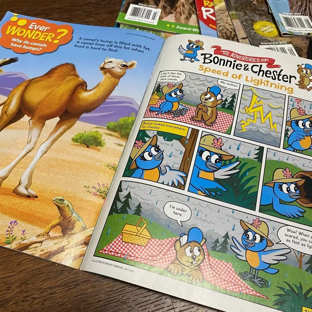 Ranger Rick Jr. Magazine Lot of 14 Kids Nature Homeschool Wildlife Children
